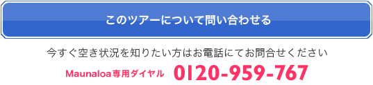 このツアーについて問い合わせる